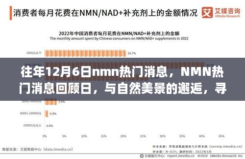 往年NMN熱門消息回顧日，與自然美景的邂逅，心靈寧靜之旅啟程