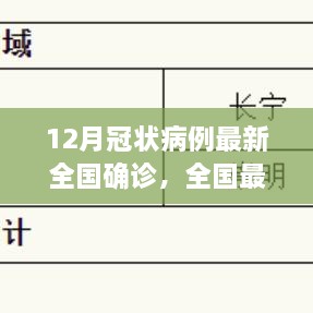 2024年12月8日 第17頁