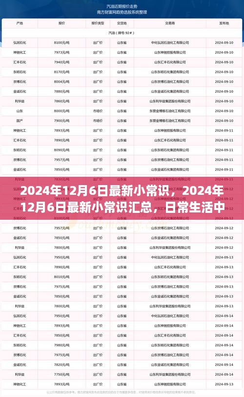 2024年12月6日最新小常識一覽，日常生活中的新奇知識匯總