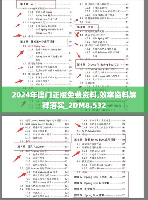 2024年澳門正版免費(fèi)資料,效率資料解釋落實(shí)_2DM8.532