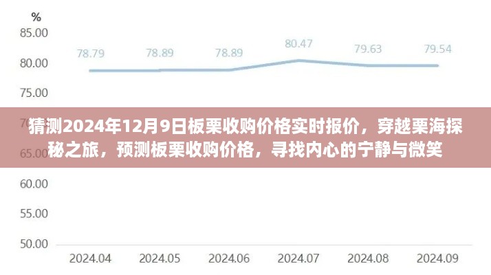 穿越栗海探秘之旅，預(yù)測板栗收購價(jià)格，探尋內(nèi)心寧靜微笑與未來報(bào)價(jià)動態(tài)（實(shí)時(shí)更新）