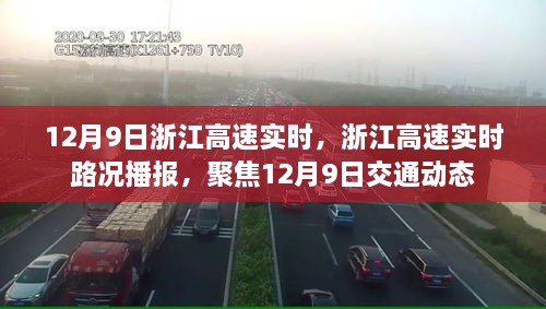 浙江高速實時路況播報，聚焦12月9日交通動態(tài)