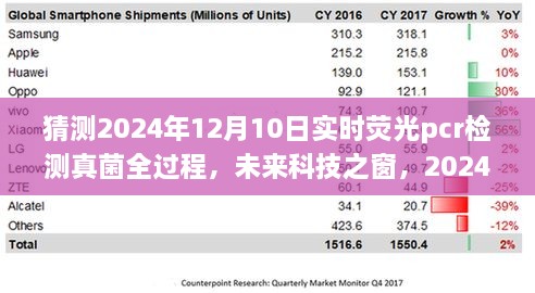 揭秘未來(lái)科技之窗，2024年實(shí)時(shí)熒光PCR檢測(cè)真菌全過(guò)程展望與解析