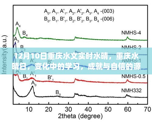 重慶水晴日下的學(xué)習(xí)成就與自信之源，變化中的探索與成長(zhǎng)之路