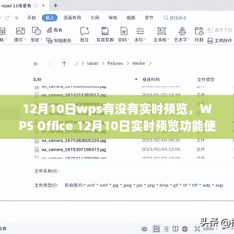 WPS Office 12月10日實時預覽功能使用詳解