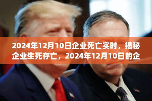 揭秘企業(yè)生死存亡，企業(yè)死亡實時真相揭秘（2024年12月10日）