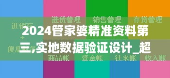 2024管家婆精準(zhǔn)資料第三,實地數(shù)據(jù)驗證設(shè)計_超級版8.927