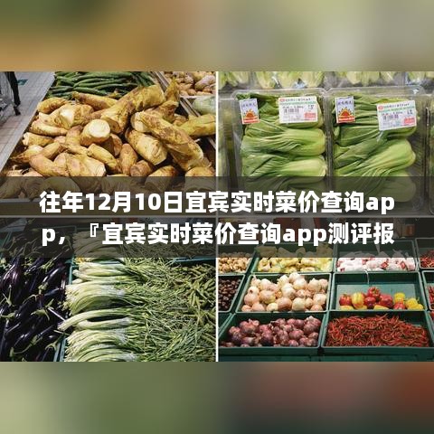 宜賓實(shí)時(shí)菜價(jià)查詢app歷年功能深度解析與用戶體驗(yàn)洞察測(cè)評(píng)報(bào)告，宜賓歷年菜價(jià)變遷一覽無(wú)余！