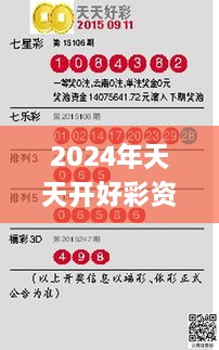 2024年天天開好彩資料56期,實地驗證方案_定制版3.205