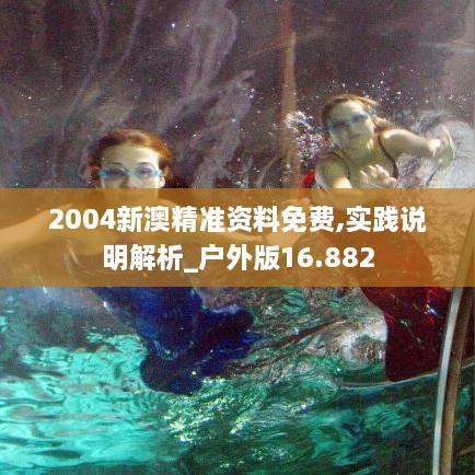 2004新澳精準(zhǔn)資料免費,實踐說明解析_戶外版16.882