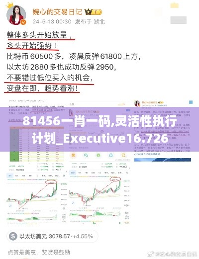 81456一肖一碼,靈活性執(zhí)行計(jì)劃_Executive16.726