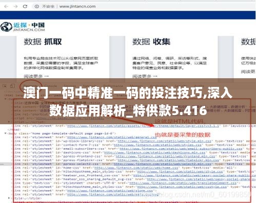 澳門一碼中精準(zhǔn)一碼的投注技巧,深入數(shù)據(jù)應(yīng)用解析_特供款5.416