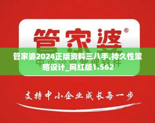 管家婆2024正版資料三八手,持久性策略設計_網紅版1.562