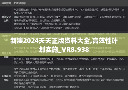 新澳2024天天正版資料大全,高效性計劃實施_VR8.938