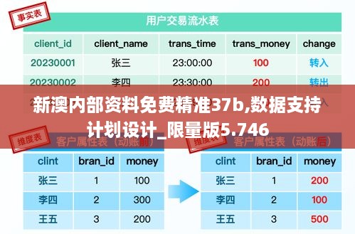 新澳內部資料免費精準37b,數據支持計劃設計_限量版5.746