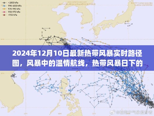 2024年熱帶風(fēng)暴實(shí)時(shí)路徑圖，風(fēng)暴中的溫情旅程與特殊旅程揭秘