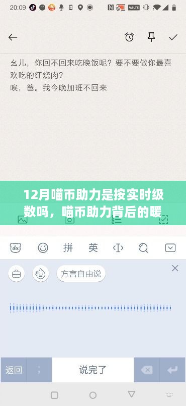 喵幣助力背后的暖心故事，實(shí)時級數(shù)的魔法與友情紐帶揭秘