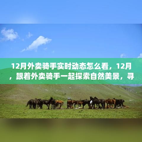 跟著外賣騎手探索自然美景，12月實時動態(tài)與心靈之旅