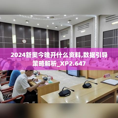 2024新奧今晚開什么資料,數(shù)據(jù)引導(dǎo)策略解析_XP2.647