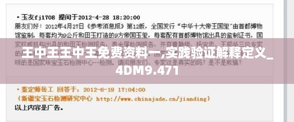 王中王王中王免費(fèi)資料一,實踐驗證解釋定義_4DM9.471