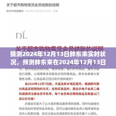 2024年12月13日胖東來商業(yè)前景預測與實時狀況分析