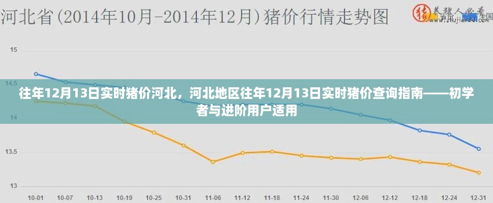 河北地區(qū)歷年12月13日實時豬價查詢指南，初學(xué)者與進(jìn)階用戶必備參考