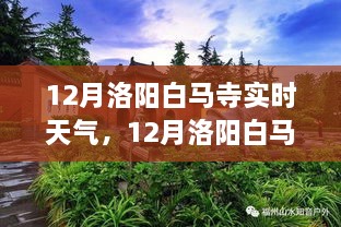 從獨(dú)特視角看12月洛陽白馬寺實(shí)時(shí)天氣與深度分析