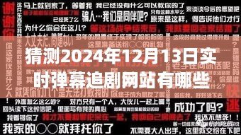 2024年實時彈幕追劇網(wǎng)站展望，背景、發(fā)展與行業(yè)地位深度解析