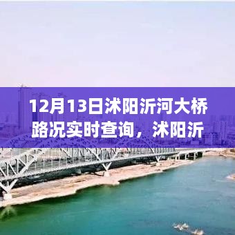 沭陽沂河大橋?qū)崟r路況深度解析，影響與價值探討