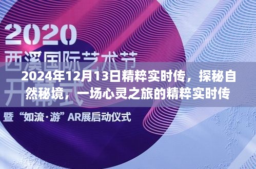 探秘自然秘境，心靈之旅的精粹實(shí)時(shí)傳（2024年12月13日）