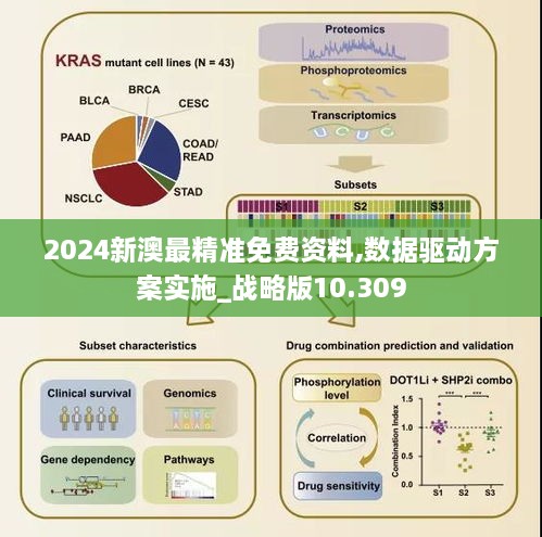 2024新澳最精準免費資料,數據驅動方案實施_戰(zhàn)略版10.309