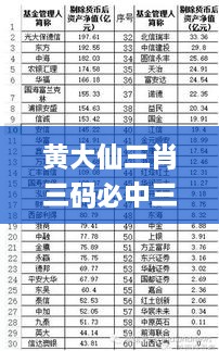 黃大仙三肖三碼必中三,效率資料解釋落實_6DM10.703