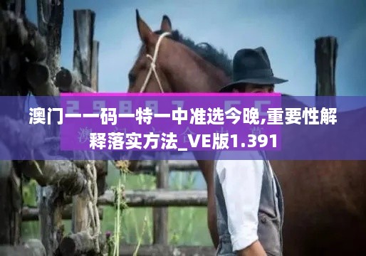 澳門一一碼一特一中準(zhǔn)選今晚,重要性解釋落實(shí)方法_VE版1.391