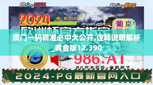 2024年12月15日 第49頁