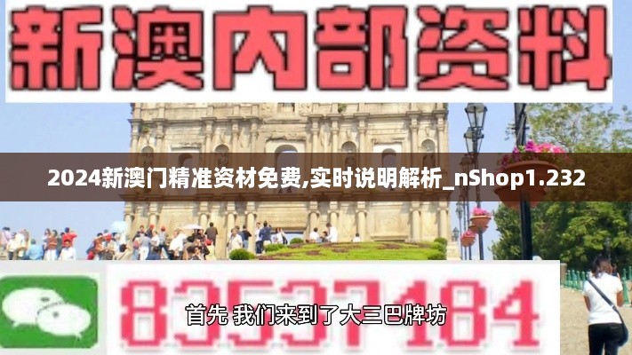 2024新澳門精準(zhǔn)資材免費,實時說明解析_nShop1.232