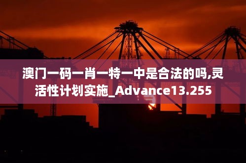 澳門一碼一肖一特一中是合法的嗎,靈活性計劃實施_Advance13.255