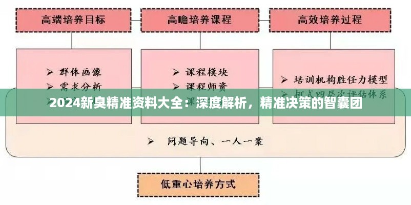 2024新臭精準資料大全：深度解析，精準決策的智囊團