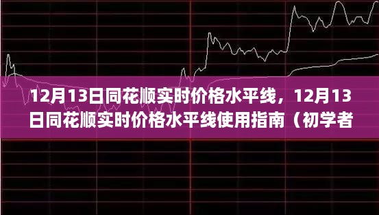 12月13日同花順實(shí)時(shí)價(jià)格水平線使用指南，從入門到進(jìn)階