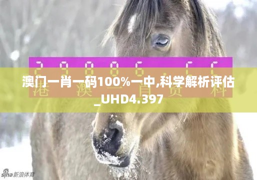 澳門一肖一碼100%一中,科學解析評估_UHD4.397