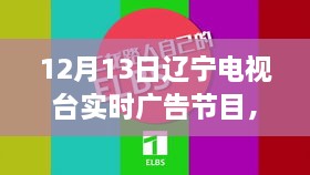 遼寧電視臺揭秘最新高科技產品，重塑未來生活體驗直播秀