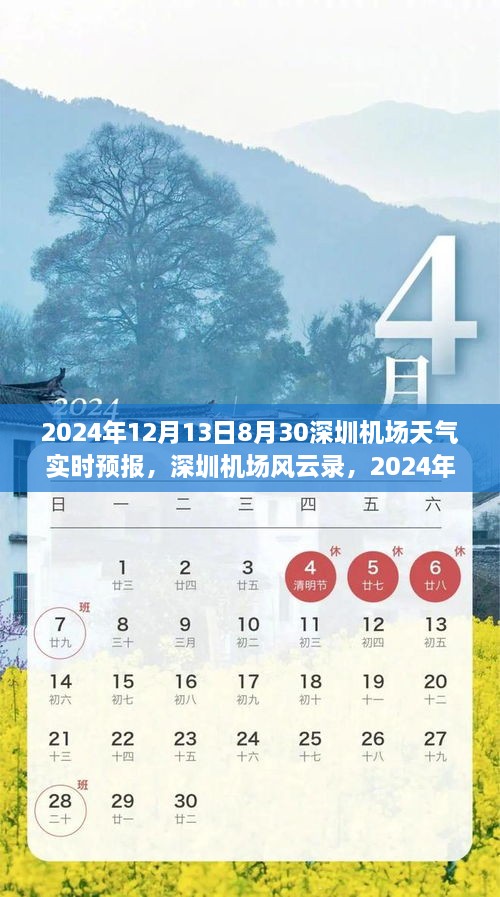 深圳機場天氣預報紀實，風云變幻下的航班動態(tài)與影響