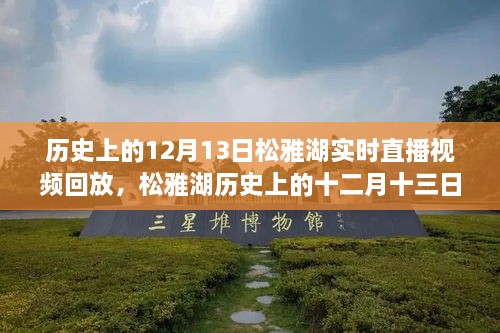 松雅湖直播回放，探尋歷史記憶碎片的十二月十三日