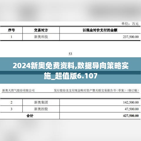 2024新奧免費(fèi)資料,數(shù)據(jù)導(dǎo)向策略實(shí)施_超值版6.107