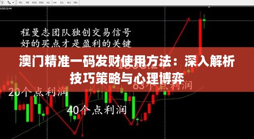 澳門精準(zhǔn)一碼發(fā)財使用方法：深入解析技巧策略與心理博弈