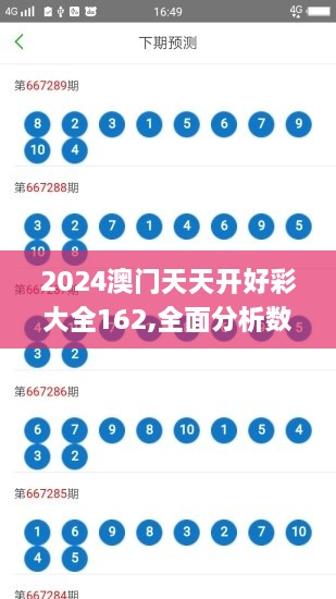 2024澳門天天開(kāi)好彩大全162,全面分析數(shù)據(jù)執(zhí)行_DX版14.628