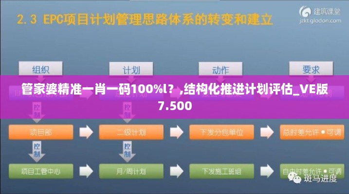 管家婆精準一肖一碼100%l？,結(jié)構(gòu)化推進計劃評估_VE版7.500