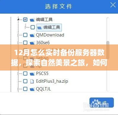 十二月服務器數據實時備份與自然美景探索，尋找內心的寧靜和平和之路