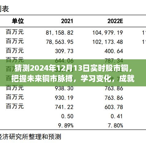 揭秘2024年12月13日股市銅市走向，洞悉變化成就投資夢想