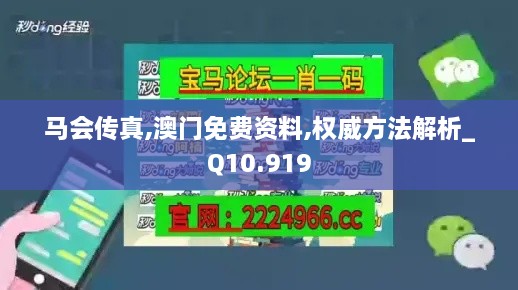 馬會傳真,澳門免費資料,權威方法解析_Q10.919