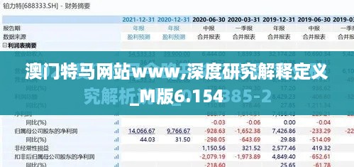 澳門特馬網站www,深度研究解釋定義_M版6.154